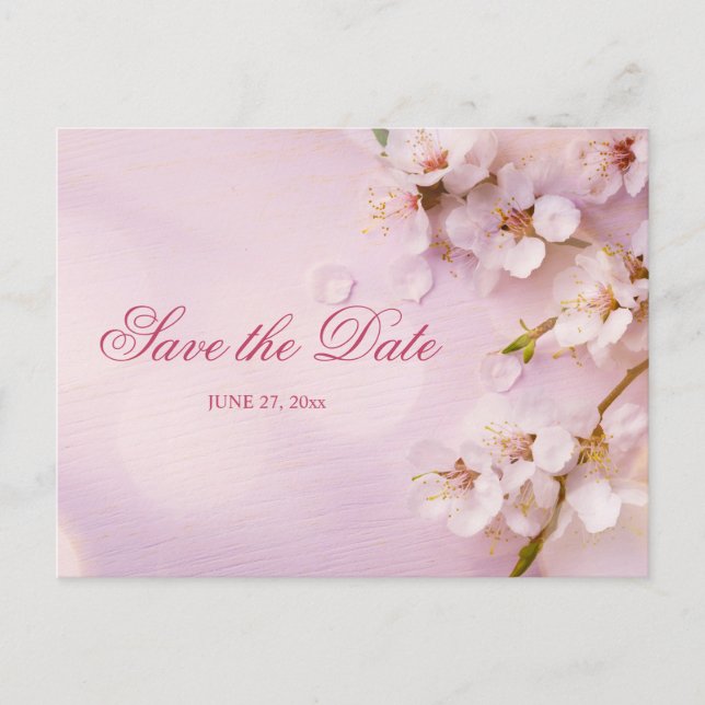 Carte postale élégante à motif de fleurs de cerisi (Devant)