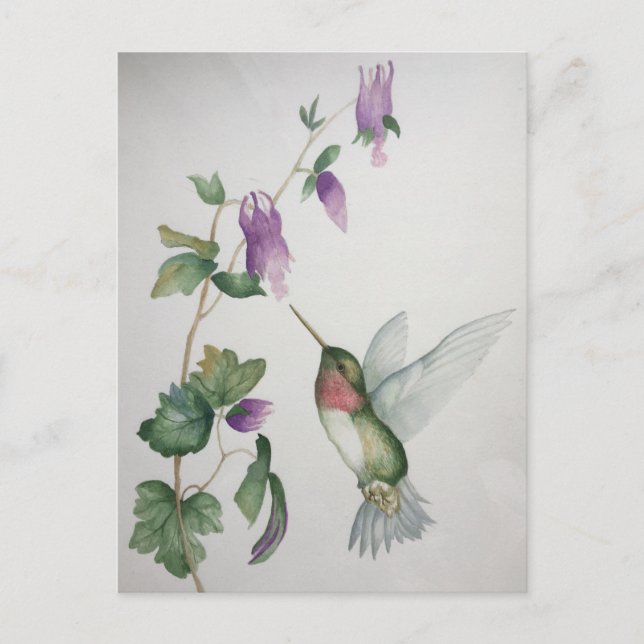 Carte Postale Elégante aquarelle du jardin des colibris (Devant)
