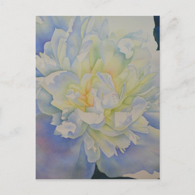 Carte Postale Elégante aquarelle fleurie de pivoine blanche (Devant)