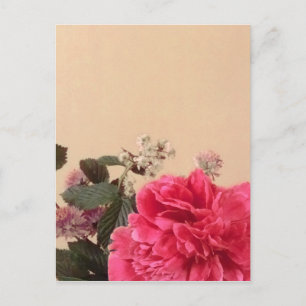 Carte Postale Élégante crème rose florale