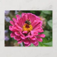 Elégante fleur rose fleur maman fleur marguerite a