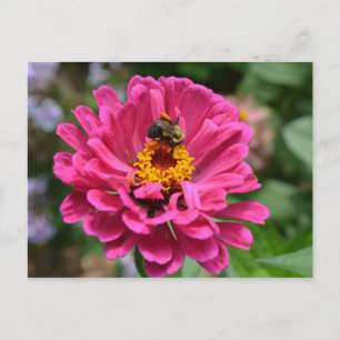 Carte Postale Elégante fleur rose fleur maman fleur marguerite a