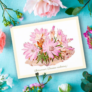 Carte Postale Élégante Fleur Vintage Bitterroot Botanique