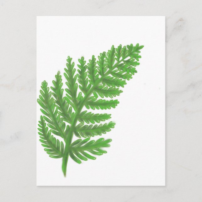 Carte Postale Élégante fougères vertes feuilles de bois (Devant)