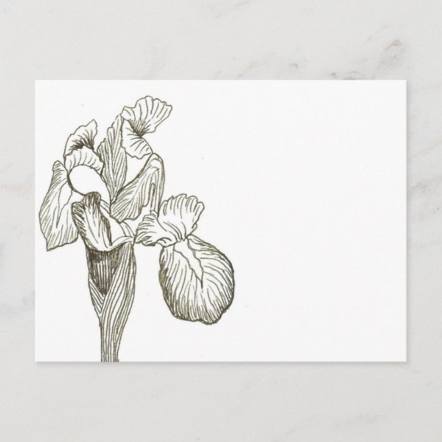 Carte postale élégante Iris (Devant)