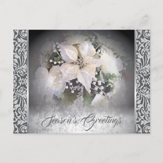 Carte Postale Élégante Poinsettie de Noël Blanc (Devant)