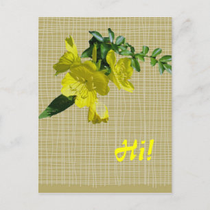 Carte Postale Éléments de coordination primmrose Sundrops
