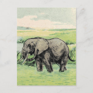 Carte Postale Eléphant