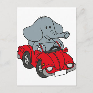 Carte Postale Eléphant