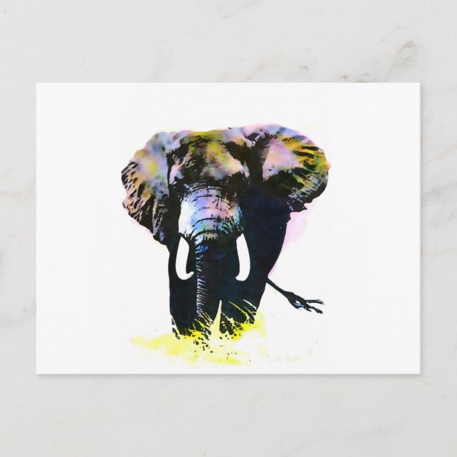 Carte Postale Eléphant (Devant)