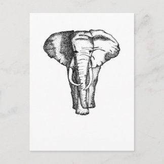 Carte Postale éléphant