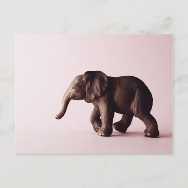 Carte postale Elephant (Devant)