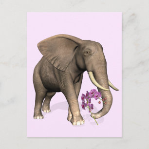 Carte Postale Éléphant Avec Orchidée Rose