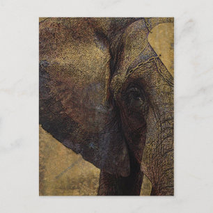 Carte Postale Éléphant d'Afrique Majestueux Parchemin Grunge