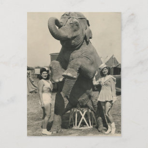 Carte Postale éléphant et 2 filles cirque
