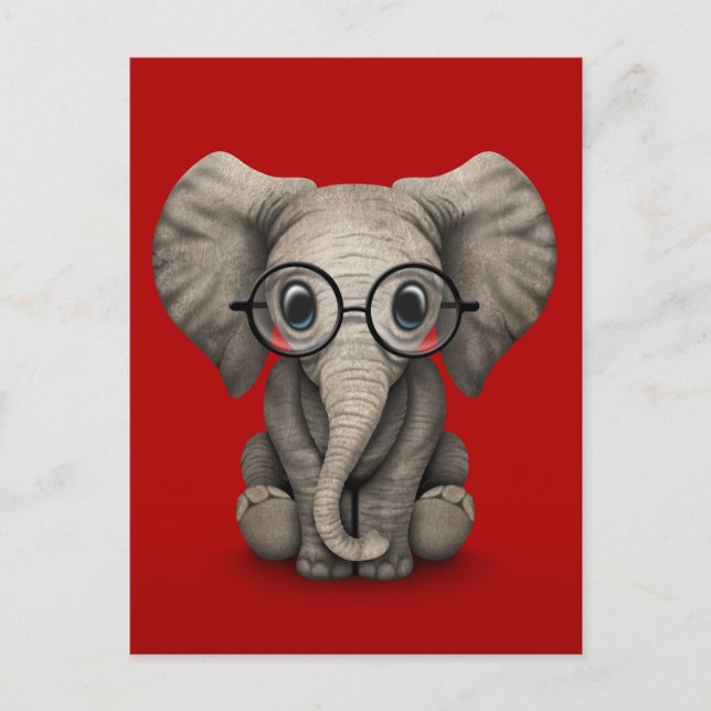 Carte Postale Eléphant mignon bébé avec lunettes de lecture Roug (Devant)