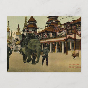 Carte Postale Elephant Ride in Luna Park, Coney Island, 1910