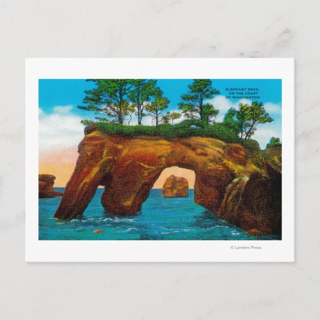 Carte Postale Elephant Rock sur la côte de Washington (Devant)