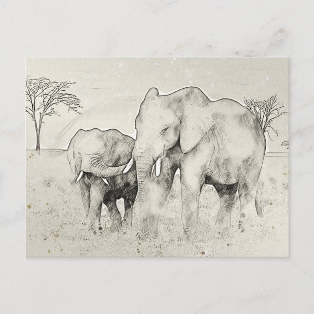 Carte postale Elephant Safari (Devant)