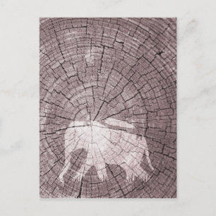 Carte Postale Eléphant urbain