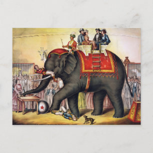 Carte Postale Éléphant vintage de cirque
