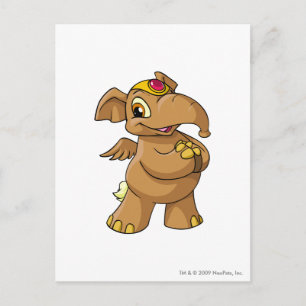 Carte Postale Elephante Brown
