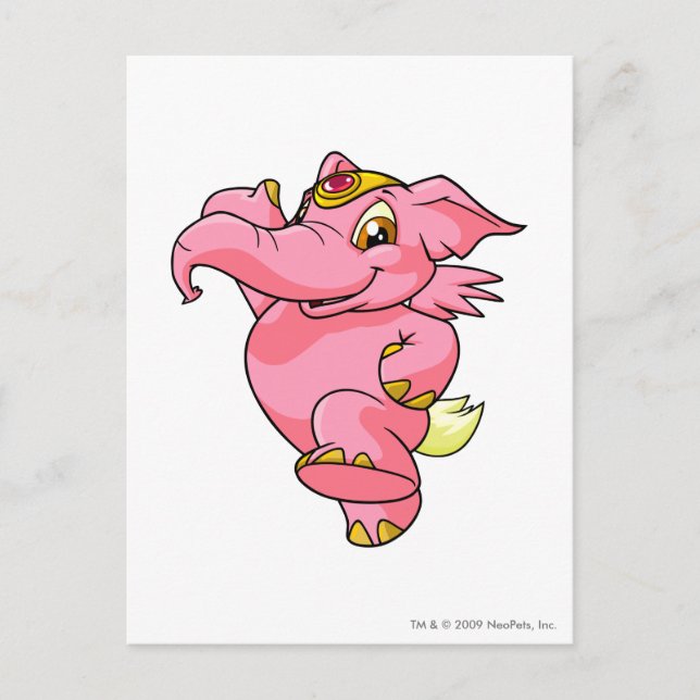 Carte Postale Elephante rose (Devant)