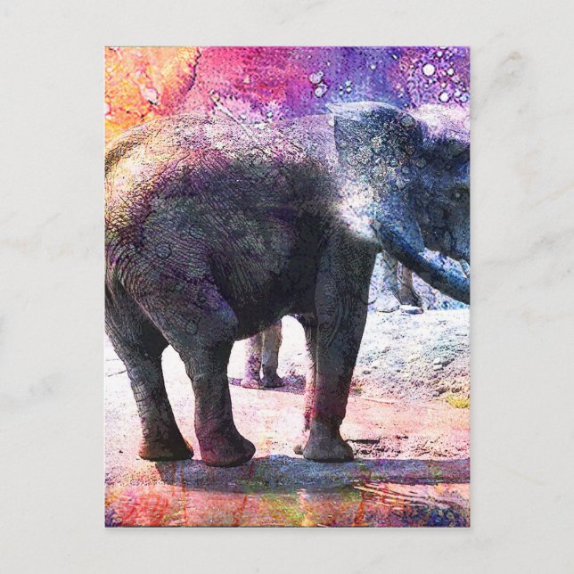 CARTE POSTALE ÉLÉPHANTS (Devant)