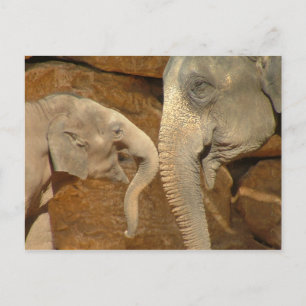 CARTE POSTALE ÉLÉPHANTS ADORABLES