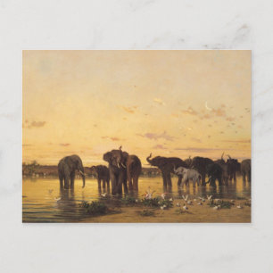 Carte Postale Eléphants africains