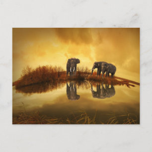 Carte Postale Eléphants asiatiques en Thaïlande sous un coucher 