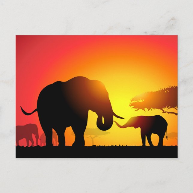 Carte Postale Eléphants mère et enfant au coucher du soleil (Devant)