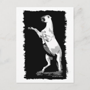 Carte Postale Élevage de l'étalon andalou