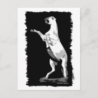 Carte Postale Élevage de l'étalon andalou