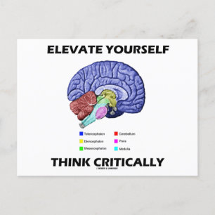 Carte Postale Elevez-Vous Penser Critiquement Conseil Braineux