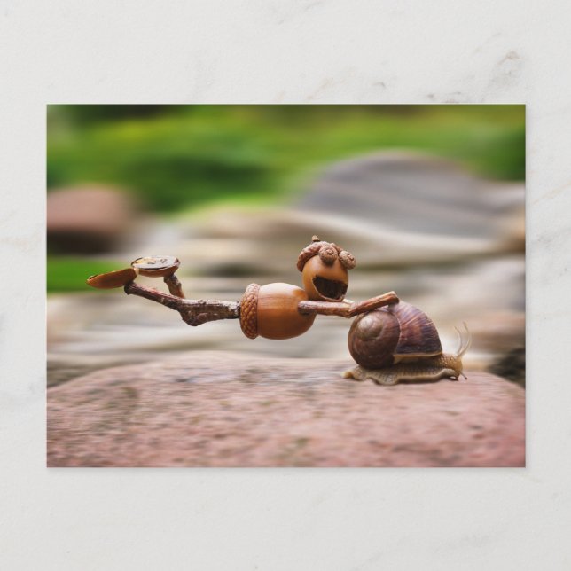 Carte Postale Elfe d'Acorn sur l'escargot (Devant)