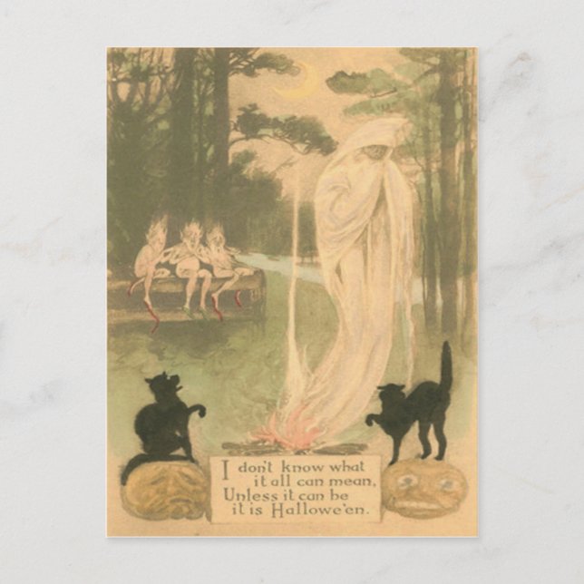 Carte Postale Elfes de chat noir de Jack-o'-lantern (Devant)