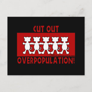 Carte Postale Éliminez la surpopulation ! Chat