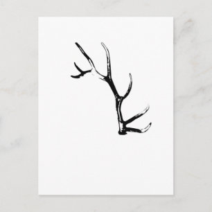 Carte Postale Elk Antler