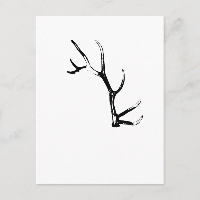 Carte Postale Elk Antler (Devant)