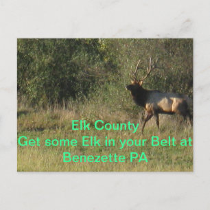 Carte Postale Elk Comté Benezette PA