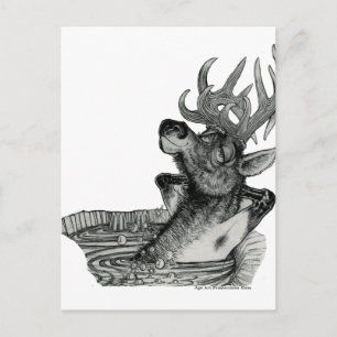 CARTE POSTALE ELK DANS LE BAIN À CHAUD