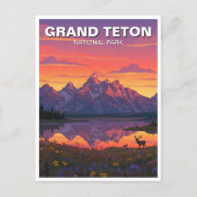 Elk dans le parc national de Grand Teton