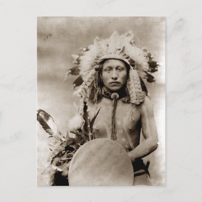 Carte Postale Elk solitaire (Devant)