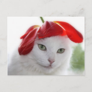 Carte Postale Elle portait un Casquette en forme de Tulipe