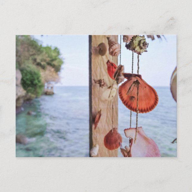 Carte Postale Elle Vend Des Coques De Mer (Devant)