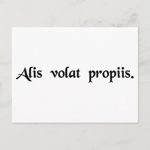 Carte Postale Elle vole avec ses ailes