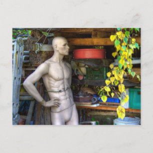 Carte Postale Ellis Garden III