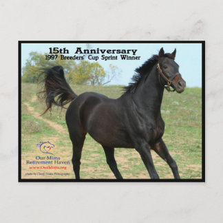 Carte Postale Elmhurst - gagnant de sprint de tasse de "97