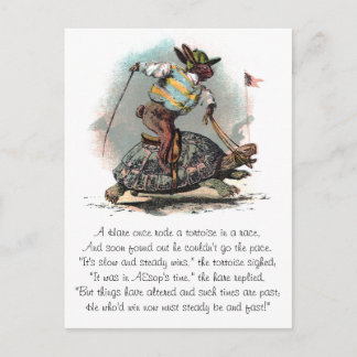 Carte Postale Emballage de la tortue d'équitation de lapin
